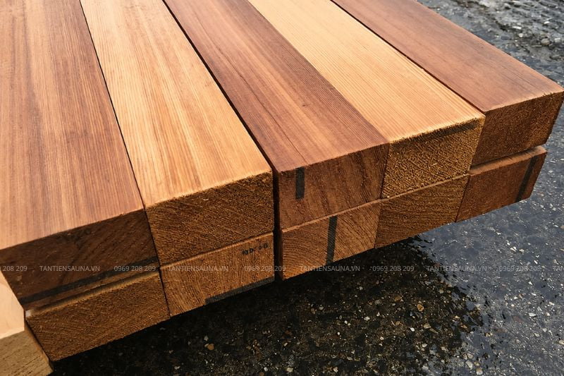 Tham khảo các loại gỗ phòng xông hơi khô phổ biến được cung cấp bởi Tân Tiến